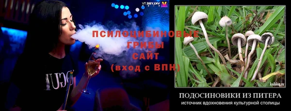 шишки Алексеевка