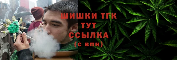 шишки Алексеевка