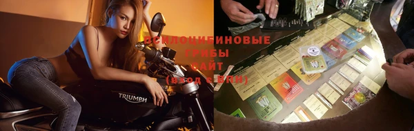 шишки Алексеевка