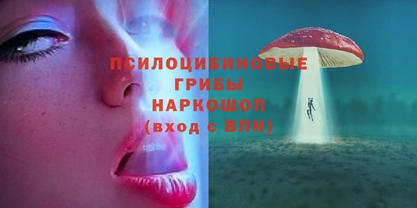 шишки Алексеевка