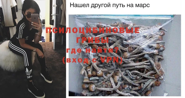 шишки Алексеевка