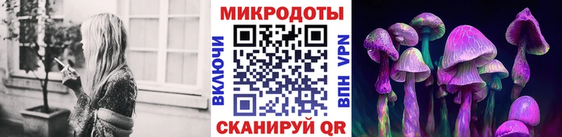 Псилоцибиновые грибы Cubensis Киров